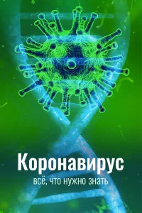  Коронавирус. Все, что нужно знать 