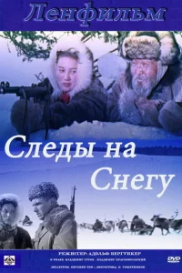  Следы на снегу 