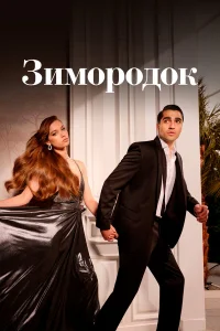  Зимородок 