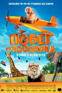  Побег из зоопарка 
