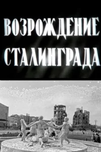  Возрождение Сталинграда 